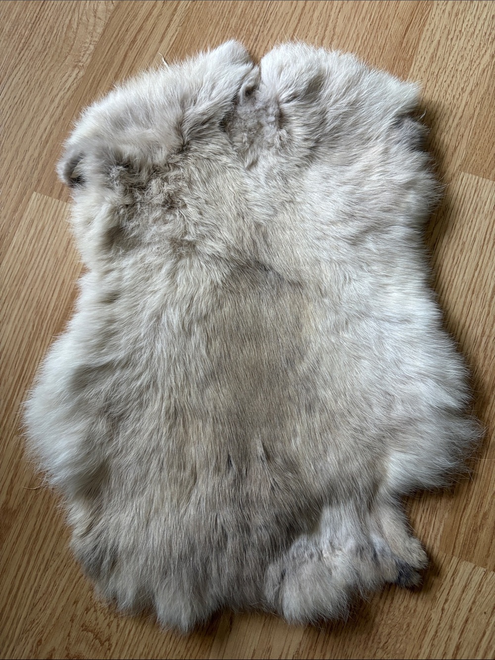 B0198 rabbit pelt craft decor